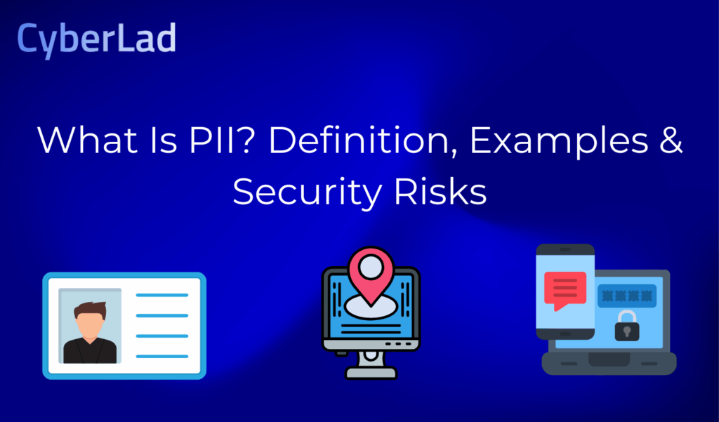 What Is PII? Definition, Examples & Security Risks